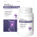 InDiva System